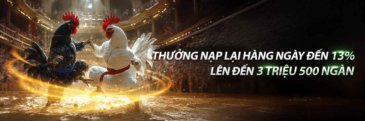 Sân vận động với không khí cá cược sôi động tại Kingbet Link Mới