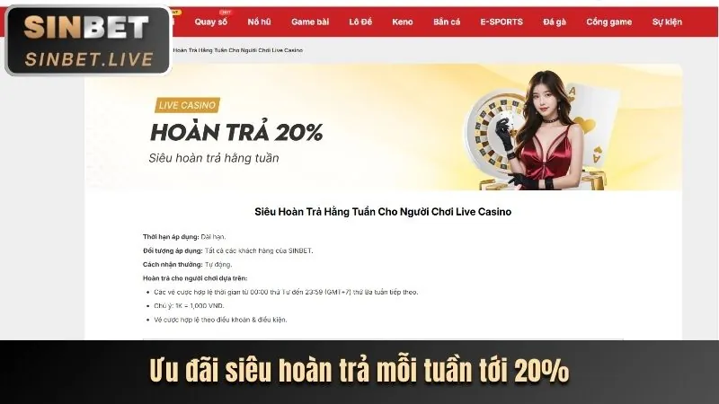 Giao diện thân thiện Kingbet